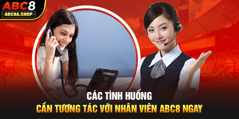 Liên hệ ABC8